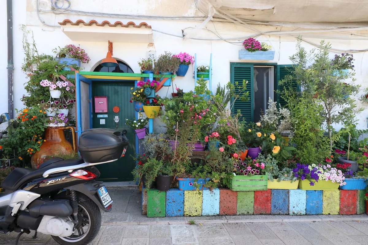 Taxis Rideshare Using in Bari, Italy